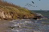 SundownIsland > Another view of the same Northeast shore, closer to the shredded Geotube and brick mats.Photo credit: Marcy Crowe Spears 