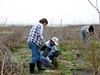 SundownIsland > Petra Hockey, Ron Arlitt and Matthew worked on five separate tree plots on the island. They weeded, repotted, fertilized and treated for fire ants on all five plots.