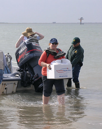 SundownIsland > Devon volunteer Brenda Eskelson wades ashore with lunch supplies for the group.  (photo by Steve Tripp)