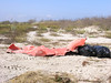 SundownIsland > After the recent storms, more than the usual amount of trash had accumulated, keeping the trash cleanup crews busy.  (photo by Steve Tripp).