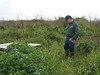 SundownIsland > Niell Irvin looks at the lush undergrowth that appears to be overtaking part of the dock area. (photo by Peggy Wilkinson)