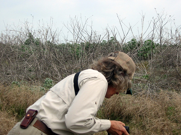SundownIsland > Diane Nunley, from Port Lavaca, digs in!  She is helping plant new trees at one of the plots near the shed. (Photo credit: Hannah Olson)