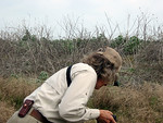 SundownIsland > Diane Nunley, from Port Lavaca, digs in!  She is helping plant new trees at one of the plots near the shed. (Photo credit: Hannah Olson)