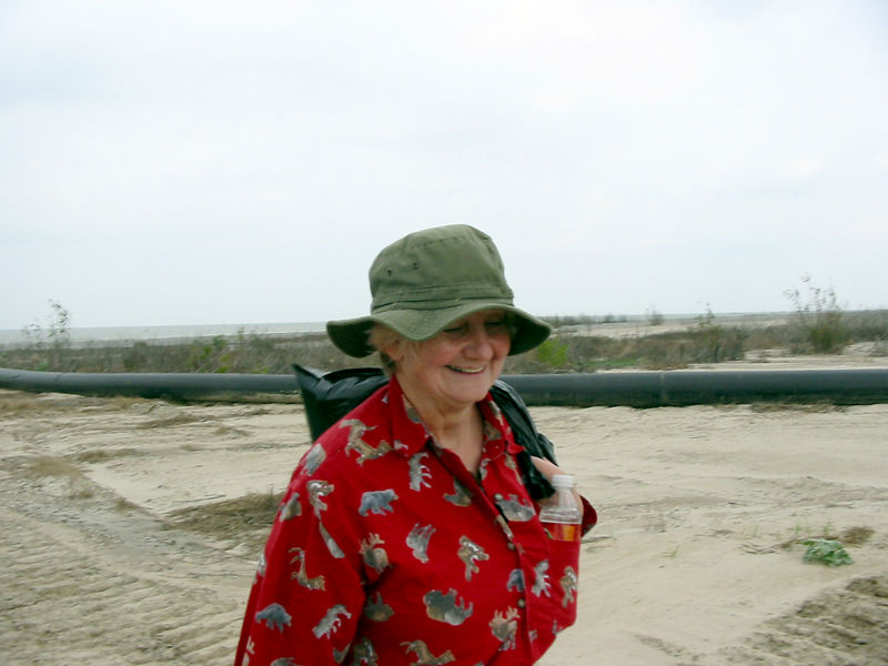 SundownIsland > Linda Olson begins the beach cleanup. She also looks for unusual shells while she picks up debris and has quite a collection now. (Photo credit: Hannah Olson)