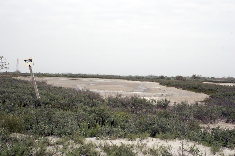 SundownIsland > Pond 1 is one of Sundown Island's natural ponds. During the winter months it is a haven for ducks, Avocets and other birds. The island is extremely dry right now because we have not had the usual amount of rain.  (Photo credit: Marcy Spears)