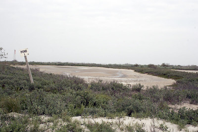 SundownIsland > Pond 1 is one of Sundown Island's natural ponds. During the winter months it is a haven for ducks, Avocets and other birds. The island is extremely dry right now because we have not had the usual amount of rain.  (Photo credit: Marcy Spears)