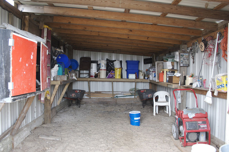 SundownIsland > I thought the shed was a marvel to see.  It is so organized! Could someone please help me organize my garage!  (Photo credit: Marcy Spears)