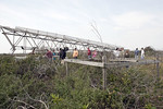 SundownIsland > After lunch, a group of volunteers headed out to disassemble nesting stands and another to check out which birds were nesting already.  Note the nesting stand in the forefront. The cyclone fencing has already been removed.  (Photo credit: Marcy Spears)