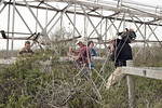 SundownIsland > Abe Moore (Texas Parks & Wildlife), with camera, was trying to position himself to take photos of Isaac and Ed Olson taking off the cyclone fencing. Hannah (green) was taking photos for the Web site.  (Photo credit: Marcy Spears)