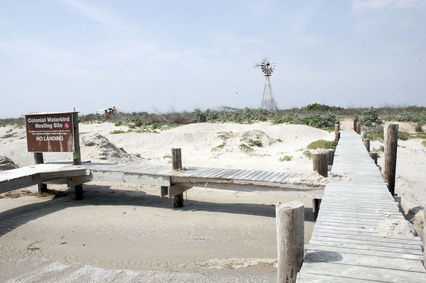 SundownIsland > A view looking towards the windmill, from the end of the dock. (Photo credit: Marcy Spears)