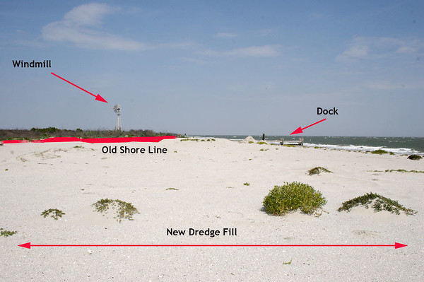 SundownIsland > Volunteers familiar with the island will be amazed at the amount of dredge fill on the East side of the island. The red line to the left is the old shore line. Last year there were so many pelicans that they were nesting right on the waters edge, which during even mild storms could be hazardous. This year they will have an easier time of it. Vegetation has already begun to take hold. (Photo credit: Marcy Spears)