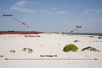 SundownIsland > Volunteers familiar with the island will be amazed at the amount of dredge fill on the East side of the island. The red line to the left is the old shore line. Last year there were so many pelicans that they were nesting right on the waters edge, which during even mild storms could be hazardous. This year they will have an easier time of it. Vegetation has already begun to take hold. (Photo credit: Marcy Spears)