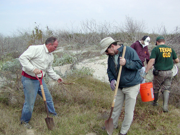 SundownIsland > (L to R) Richard Prater, Mark Elwonger, Tyler Wilkinson and Neal Irvin work on planting the new trees. (Photo credit: Rebeka Olson)