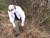 SundownIsland > Randy Schoen pulls dead invasive guineagrass away from the native brush that was planted to provide habitat for nesting wading birds. Pulling the dead grass away helps the brush receive more sunlight for growth. Photo credit: Andrew C. Kasner