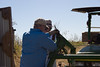 SundownIsland > Gary had not been gone long before he returned to do some maintenance on the tractor.  Being on an island (even in a shed) is hard on a tractor. Gary and Dale are lubricating everything on the tractor that they can find.   Photo credit: Marcy Crowe Spears