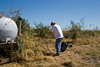 SundownIsland > Dale Blakeman gets water ready for the new trees planted near the tractor shed.  Photo credit: Marcy Crowe Spears