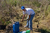 SundownIsland > Jarrod White, son of Jennifer White, starts digging a hole for the new tree in the area cleared by Gary.  Photo credit: Marcy Crowe Spears