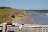 SundownIsland > And so the work begins.  Far in the distance are Barbara Van Horn and Peggy and Tim Wilkinson picking up trash along the beach.   Photo credit: Marcy Crowe Spears