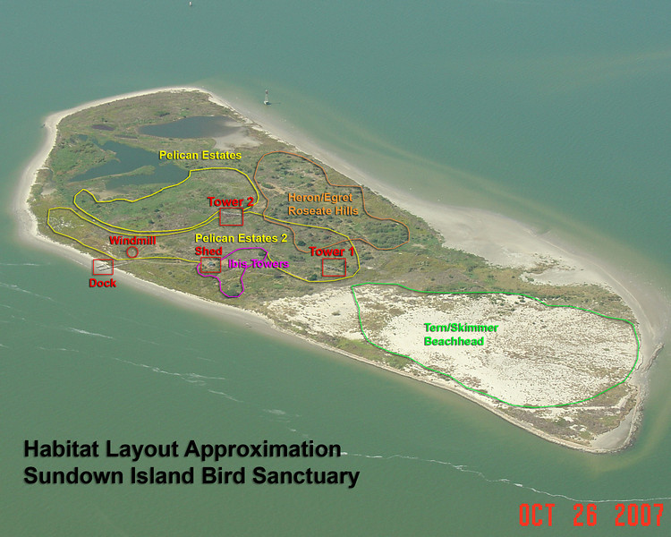 SundownIsland > Outlined on this aerial view of Sundown Island taken in October 2007 by Andrew N. Smith are the approximate areas of the popular breeding grounds. In the following photos, the approximate location of the birds is noted.