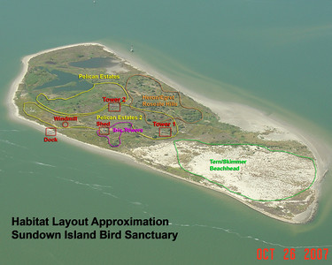 SundownIsland > Outlined on this aerial view of Sundown Island taken in October 2007 by Andrew N. Smith are the approximate areas of the popular breeding grounds. In the following photos, the approximate location of the birds is noted.