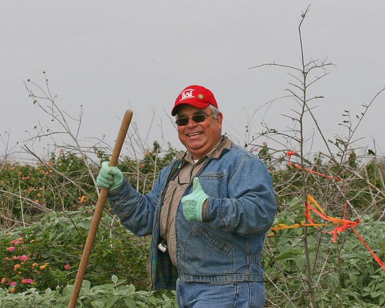 SundownIsland > Able pauses from his work for a photo.  Notice how prolific the Lantana is behind him.  The Pelicans love nesting in, near or on the Lantana. Photo credit: Marcy Spears