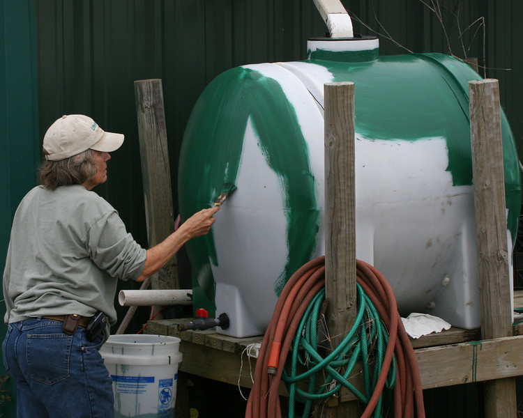 SundownIsland > At the last workday, Diane Nunley suggested to Chester that he paint the cistern black to reduce the slim in the tank. She was surprised to find that Chester was ready with paint for her at this workday—even though it was green. Be sure to view Diane's photos of the birds too! Photo credit: Marcy Spears