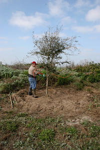 SundownIsland > Able De Leon clears out the weeds and brush around the oak trees planted near the tractor shed, followed by fertilizing and watering. Photo credit: Marcy Spears