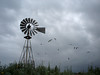 SundownIsland > Stormy backdrop for the windmill on Sundown Island. Peggy Wilkinson said that just before the storm hit, "the birds were going crazy." Photo credit: Judy Threader.